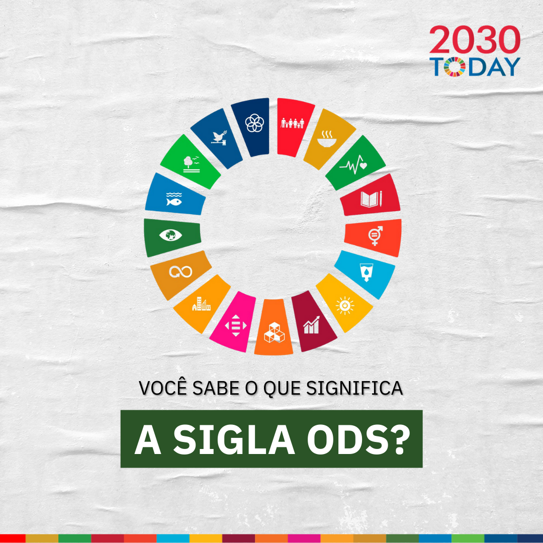 2030Today - O que são os Objetivos de Desenvolvimento Sustentável (ODS)?