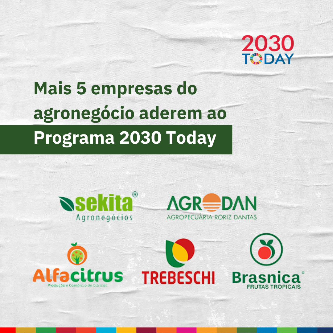 2030Today - O que são os Objetivos de Desenvolvimento Sustentável (ODS)?