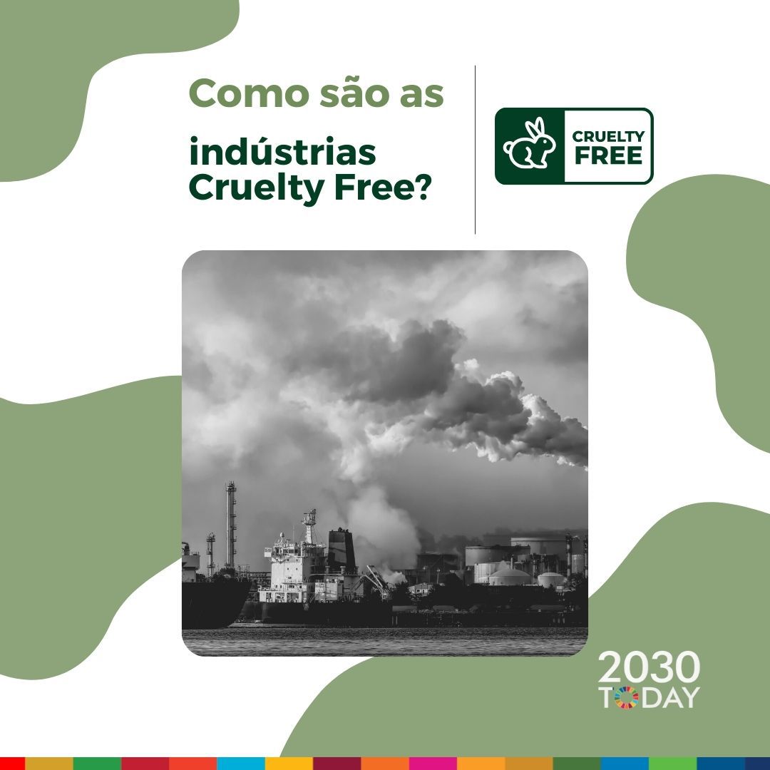 Empresas Cruelty Free: conheça mais sobre elas e como elas se destacam no mercado.