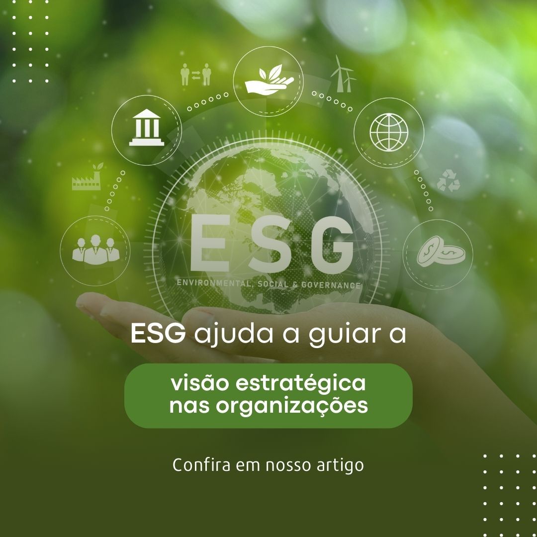 ESG: um guia para orientar a visão estratégica nas organizações de forma pragmática, eficiente e com retorno mensurável